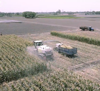 Solving India's Food Puzzle: A Coalition for Food Systems Transforma(c)tion in India